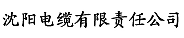 中文字幕国产日韩欧美电缆厂logo